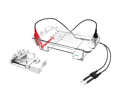 1638783314166221.jpg 迷你水平電泳槽