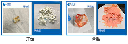 骨骼牙齒粉碎儀研磨實驗案例效果圖