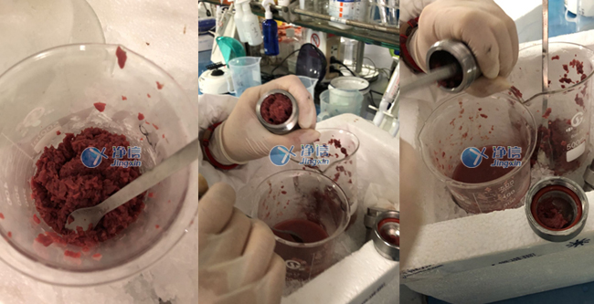 樣品實驗結(jié)果