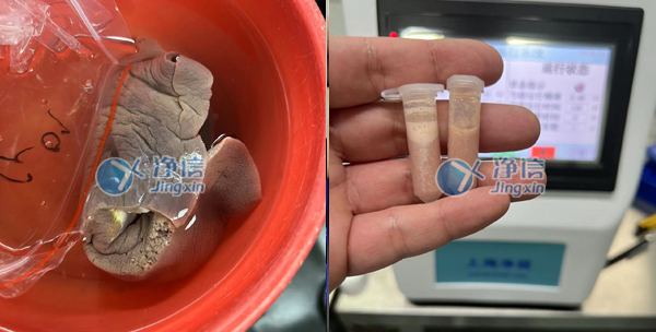 1657187106198112.jpg 樣品研磨效果圖