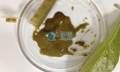 植物葉片樣品前處理實(shí)驗(yàn)效果