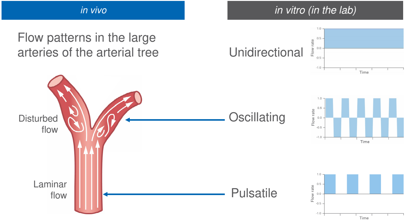 ibidi流體剪切力泵系統(tǒng)流動(dòng)類型