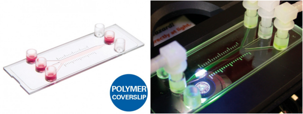 ibidi流體剪切力系統(tǒng)