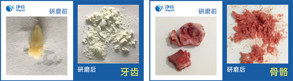 骨骼牙齒高通量冷凍研磨儀研磨效果圖