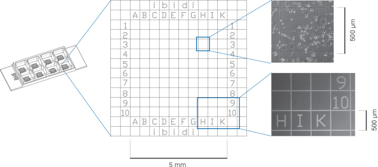 1691041461805307.jpg 1691041461805307.jpg