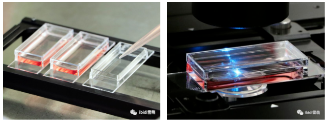 1698111753166584.png 1698111753166584.png