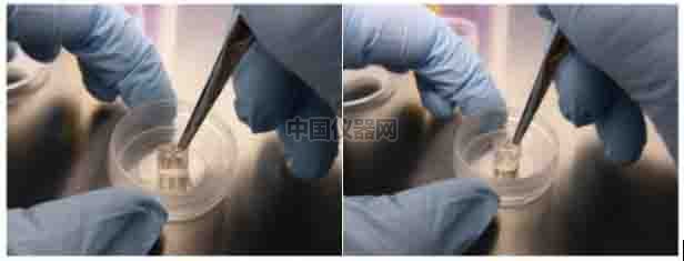 傷口愈合／細(xì)胞劃痕實(shí)驗(yàn)新方法－如何劃出筆直均一的劃痕