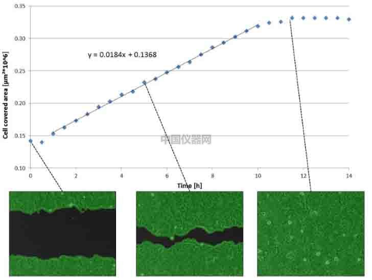 傷口愈合／細(xì)胞劃痕實(shí)驗(yàn)新方法－如何劃出筆直均一的劃痕