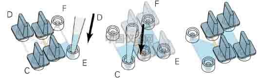細胞趨化實驗新方法（二）--實時觀察細胞動態