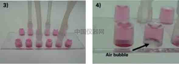 探討流體剪切力對細胞活動的影響--流體剪切力對細胞吸收人造細胞器的影響