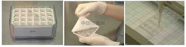 血管生成--甲狀腺轉錄因子-1（TTG-1）影響肺癌細胞血管生成