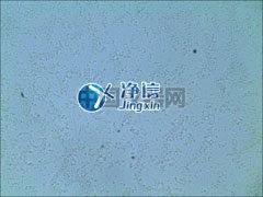 全自動樣品快速研磨儀研磨青霉菌提取線粒體實驗-上海凈信