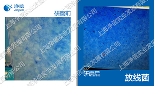 冷凍研磨儀 型號(hào):JXFSTPRP-CL-24