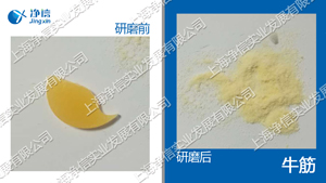 冷凍研磨儀 型號(hào):JXFSTPRP-CL-24