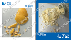 冷凍研磨儀 型號(hào):JXFSTPRP-CL-24