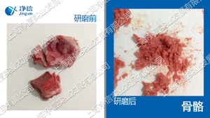 冷凍研磨儀 型號(hào):JXFSTPRP-CL-24