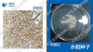 快速組織研磨機,多樣品組織勻漿機,快速樣品勻漿系統