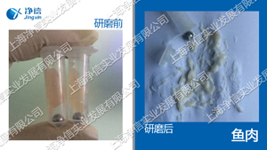 快速組織研磨機,多樣品組織勻漿機,快速樣品勻漿系統