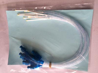 實驗室一起大王展示RHIZON SMS 搜集根際土壤溶液采集器