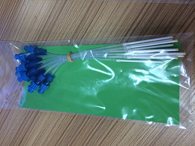 實驗室一起大王展示RHIZON SMS 搜集根際土壤溶液采集器