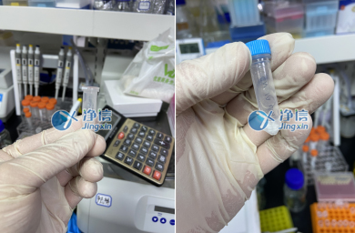 樣品研磨效果圖